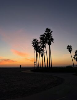 LA TRAVEL GUIDE OVER DRESS