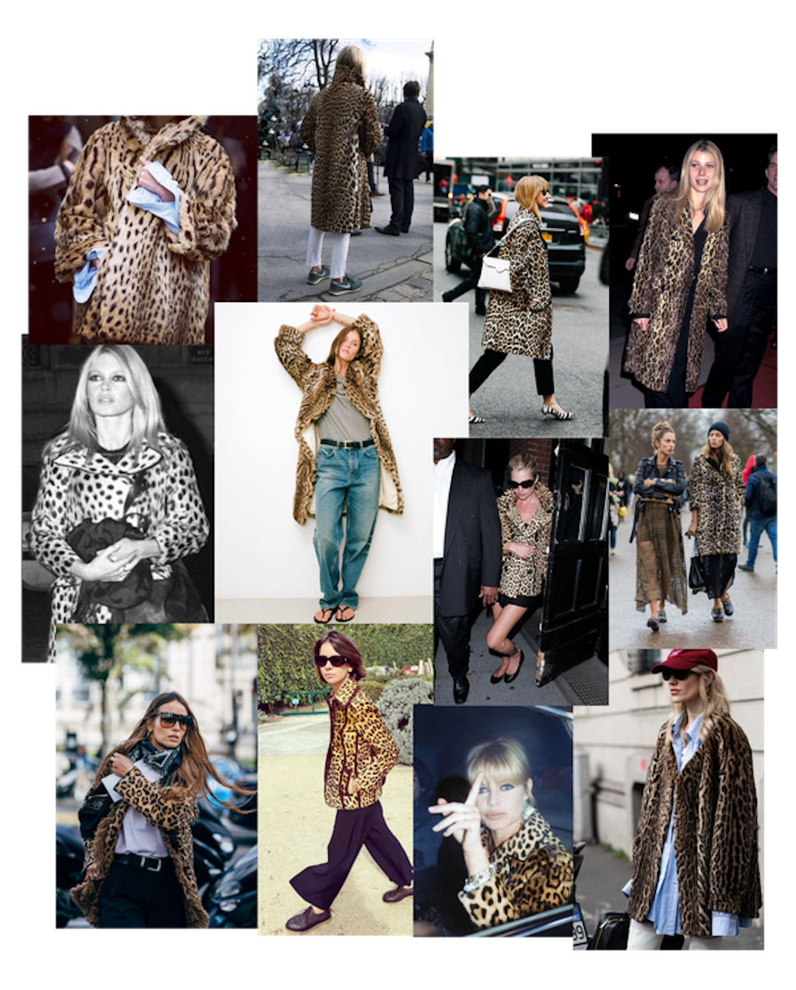 The Leopard Coat Mango Over Dress