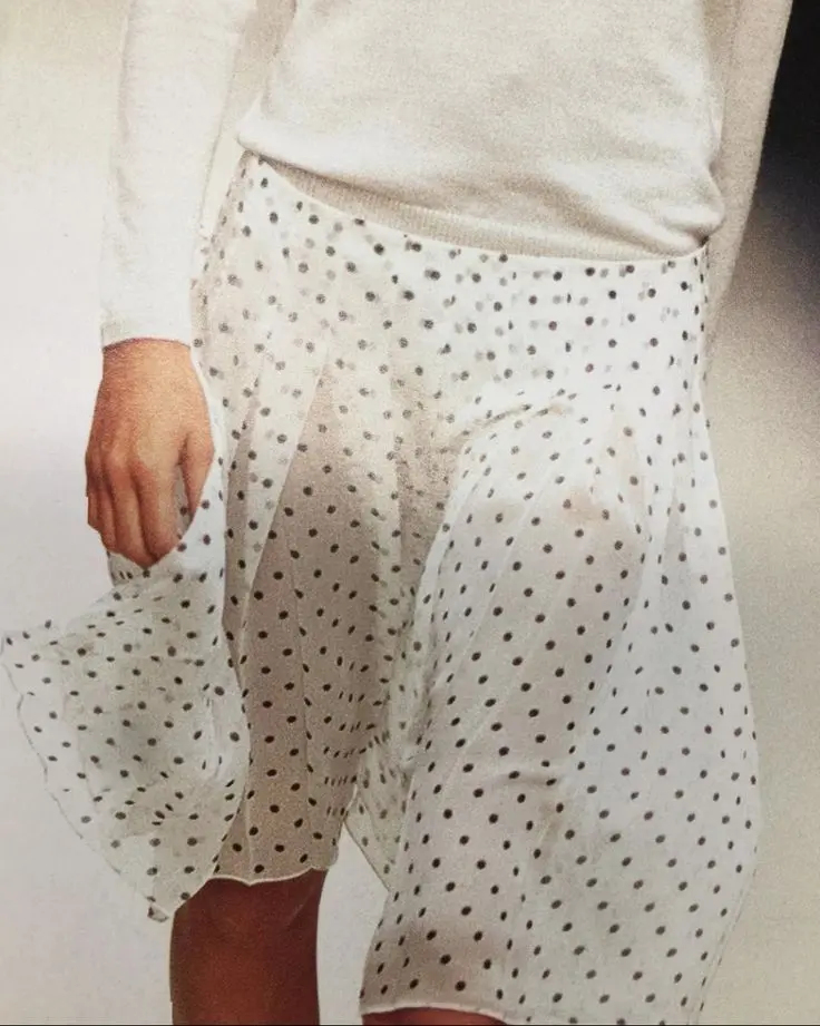 Polka Dot Sheer Skirt Over Dress