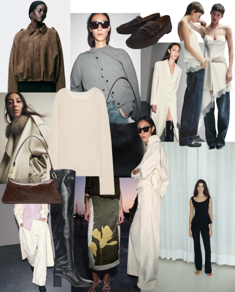 New Seaon Zara Over Dress / Zara A/W Edit