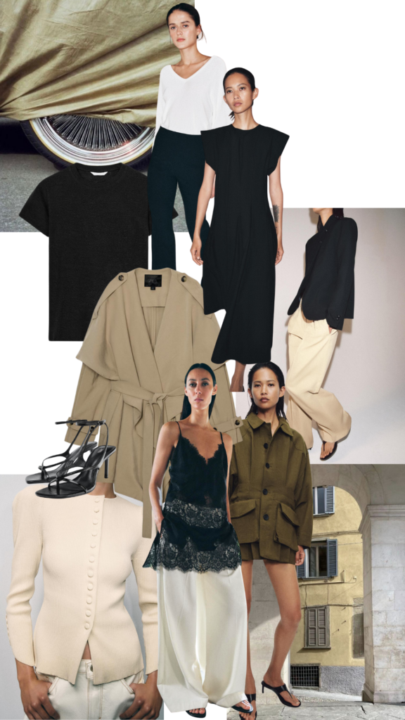 Zara March Edit Over Dress